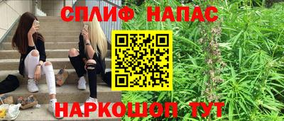 спиды Новодвинск