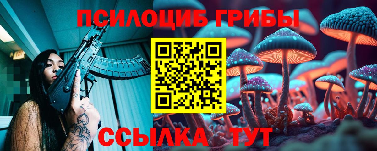 Элиста  Псилоцибиновые грибы MAGIC MUSHROOMS  Вход с VPN 
