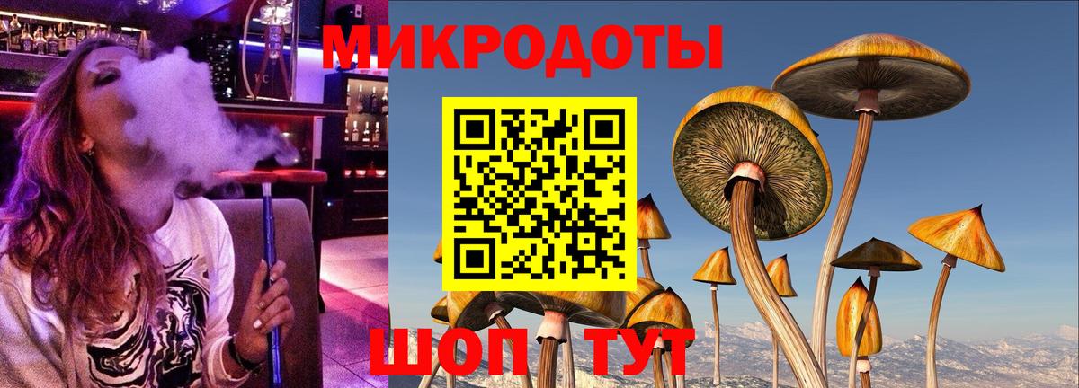 A PVP Элиста